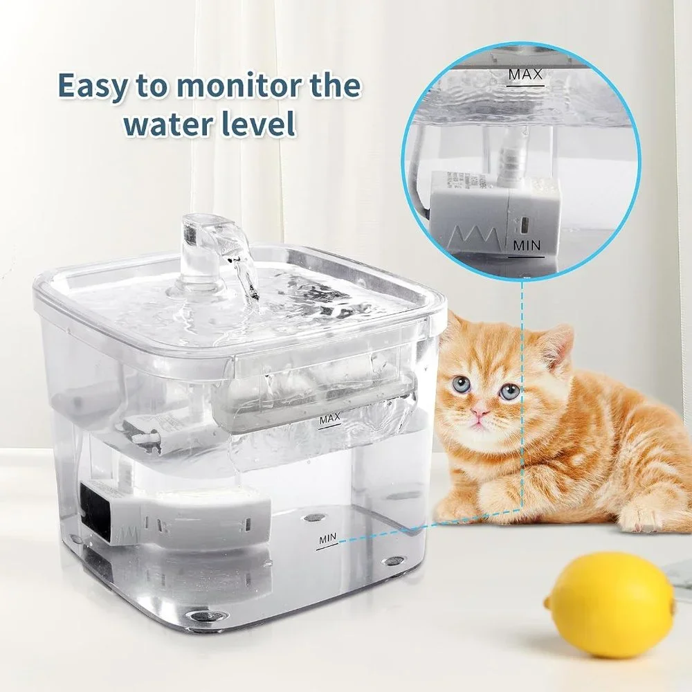 N/A cat water